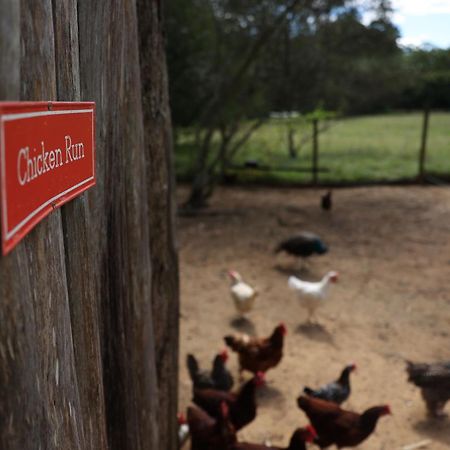 Blackwattle Farm Beerwah Exteriér fotografie