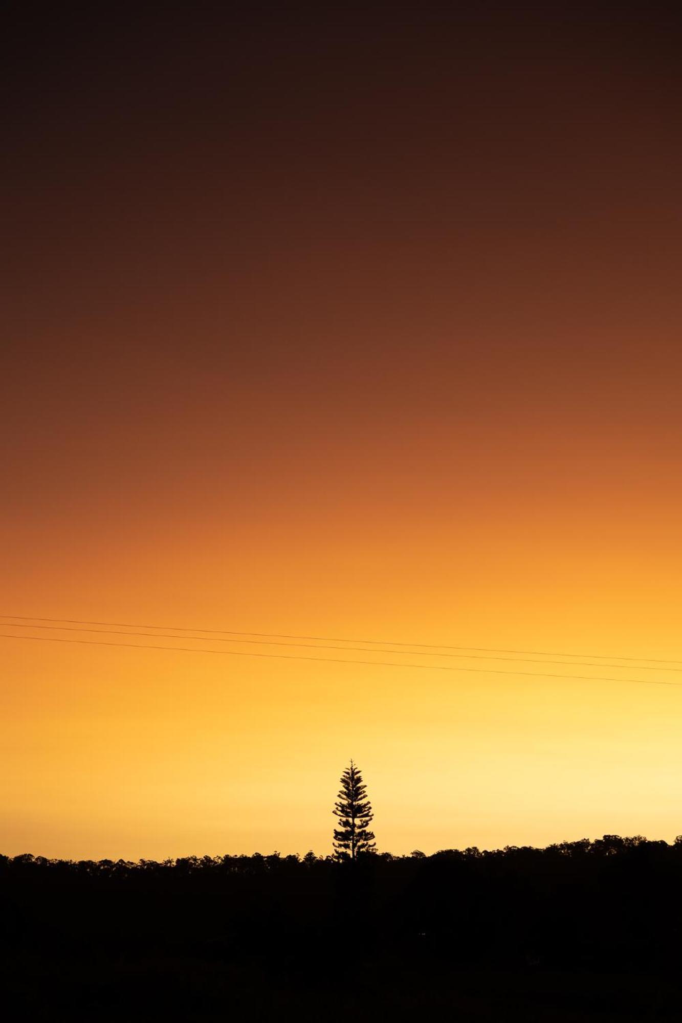 Blackwattle Farm Beerwah Exteriér fotografie