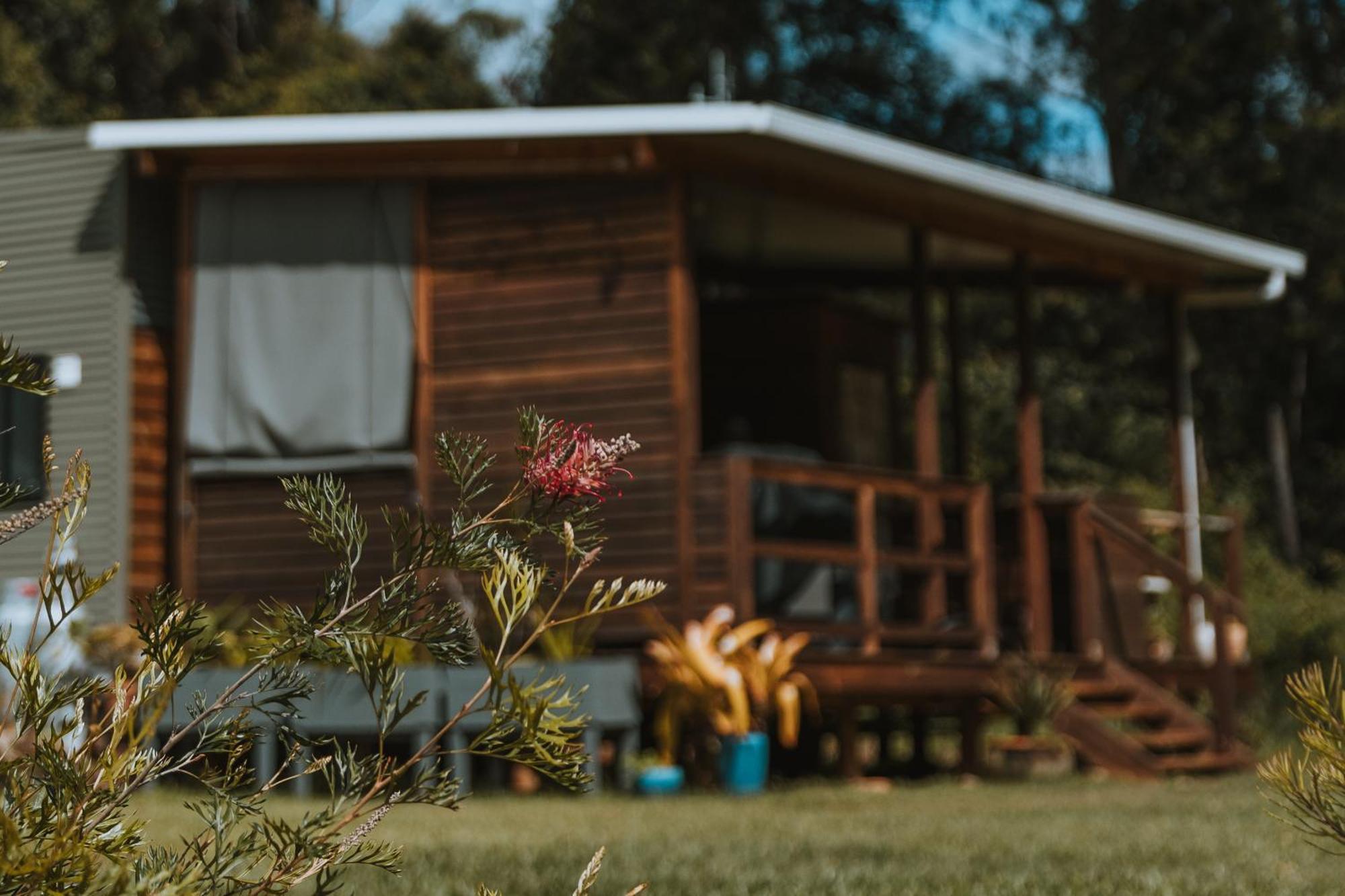Blackwattle Farm Beerwah Exteriér fotografie