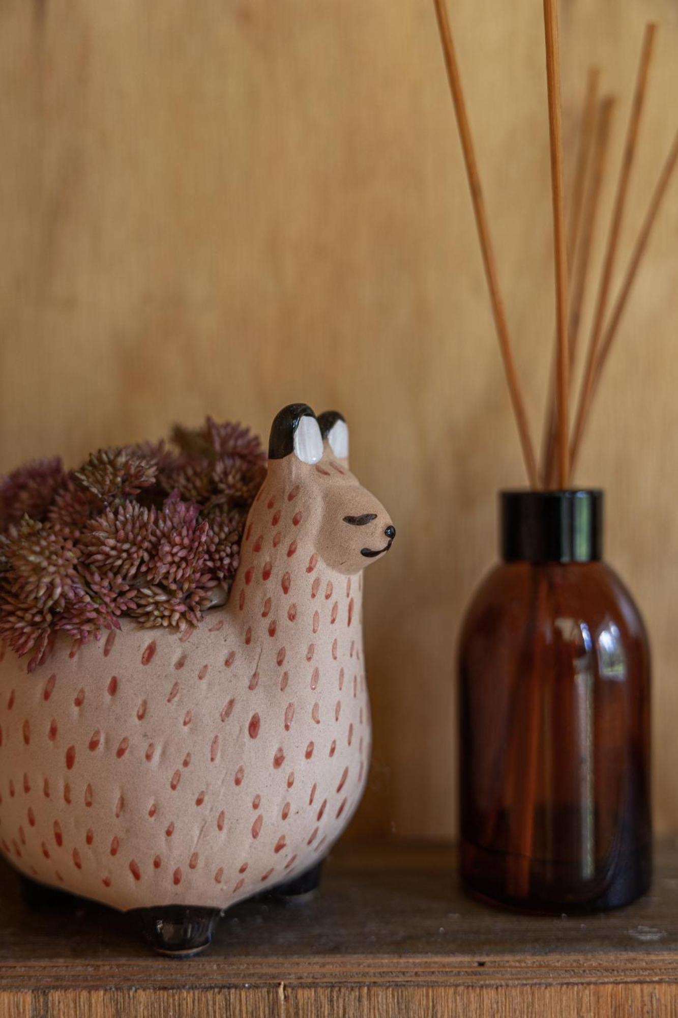 Blackwattle Farm Beerwah Pokoj fotografie