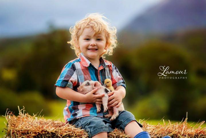 Blackwattle Farm Beerwah Exteriér fotografie